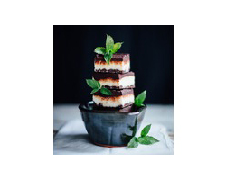 Healthy Mint Slice Recipe