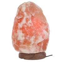 Saltco Salt Lamp Wooden Base 4-5kg