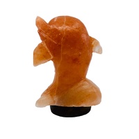 Saltco Salt Lamp Dolphin (Wood Base)