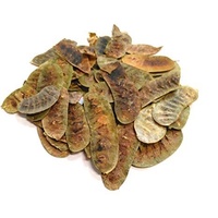 Terrain Premium Senna Pods 1kg