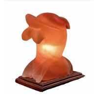 Serco Dolphin Salt Lamp 2-3kg