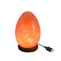 Serco USB Egg Salt Lamp 1kg