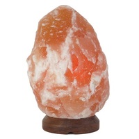 Saltco Salt Lamp Wooden Base 14-16kg