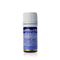 Springfields Clove Bud 5ml