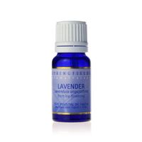 Springfields Lavender Oil Organic 30ml