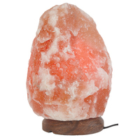 Saltco Salt Lamp Wooden Base 6-8kg