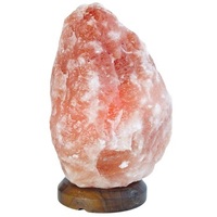 Saltco Salt Lamp Wooden Base 8-10kg