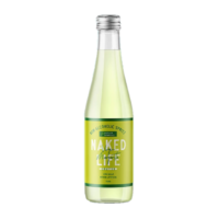 Naked Life Spritzer Virgin Margarita (Single) 250ml