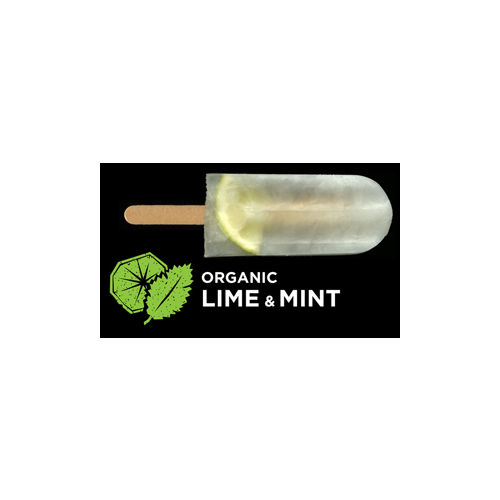 Flyin Fox Organic Lime & Mint Ice Blox 57ml