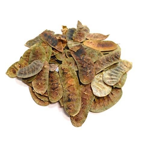 Terrain Premium Senna Pods 1kg