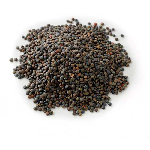 Terrain DuPuy Lentils 500g