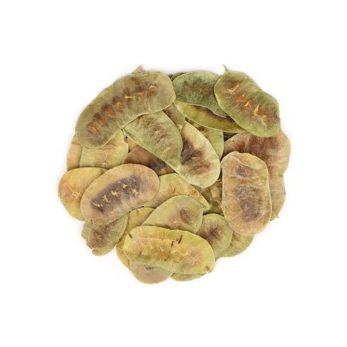Terrain Premium Senna Pods 90g