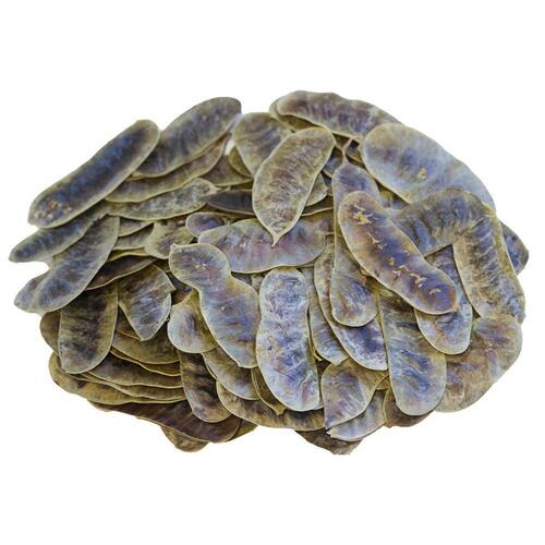 Hindustan Senna Pods 1kg
